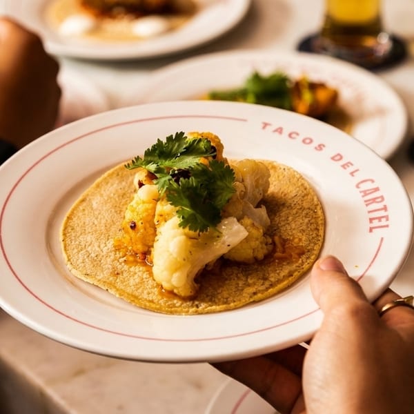 A hand holds a Tacos Del Cartel plate with a cauliflower taco, cilantro, and sauce.