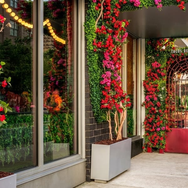 Tacos Del Cartel restaurant entrance adorned with vibrant red and pink bougainvillea flowers and green foliage.